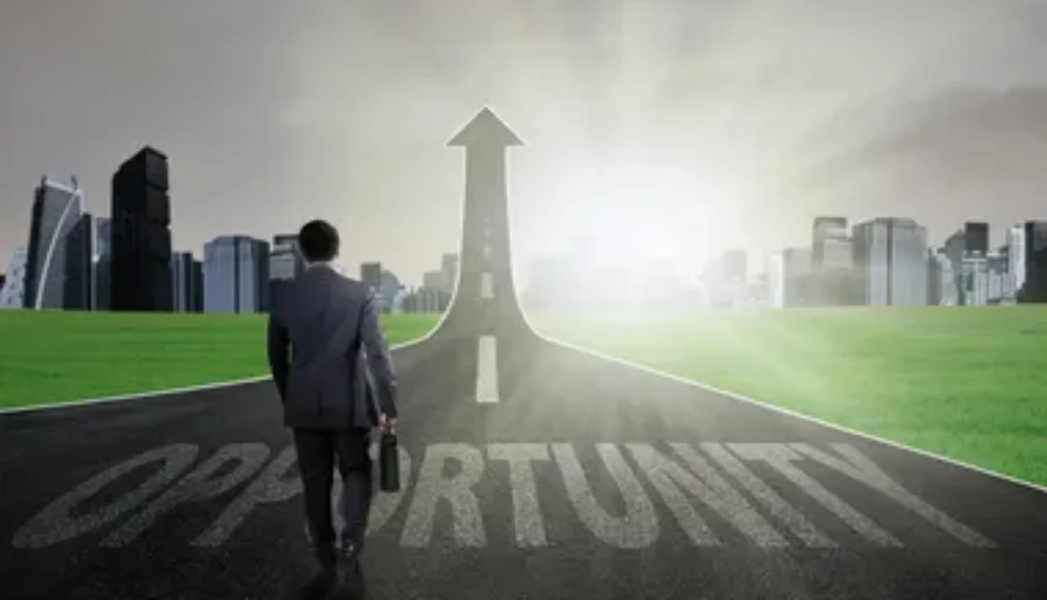 Concerned About Maximizing Your Business Value