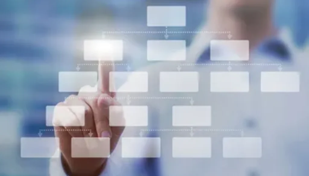LLCs, PCs and More