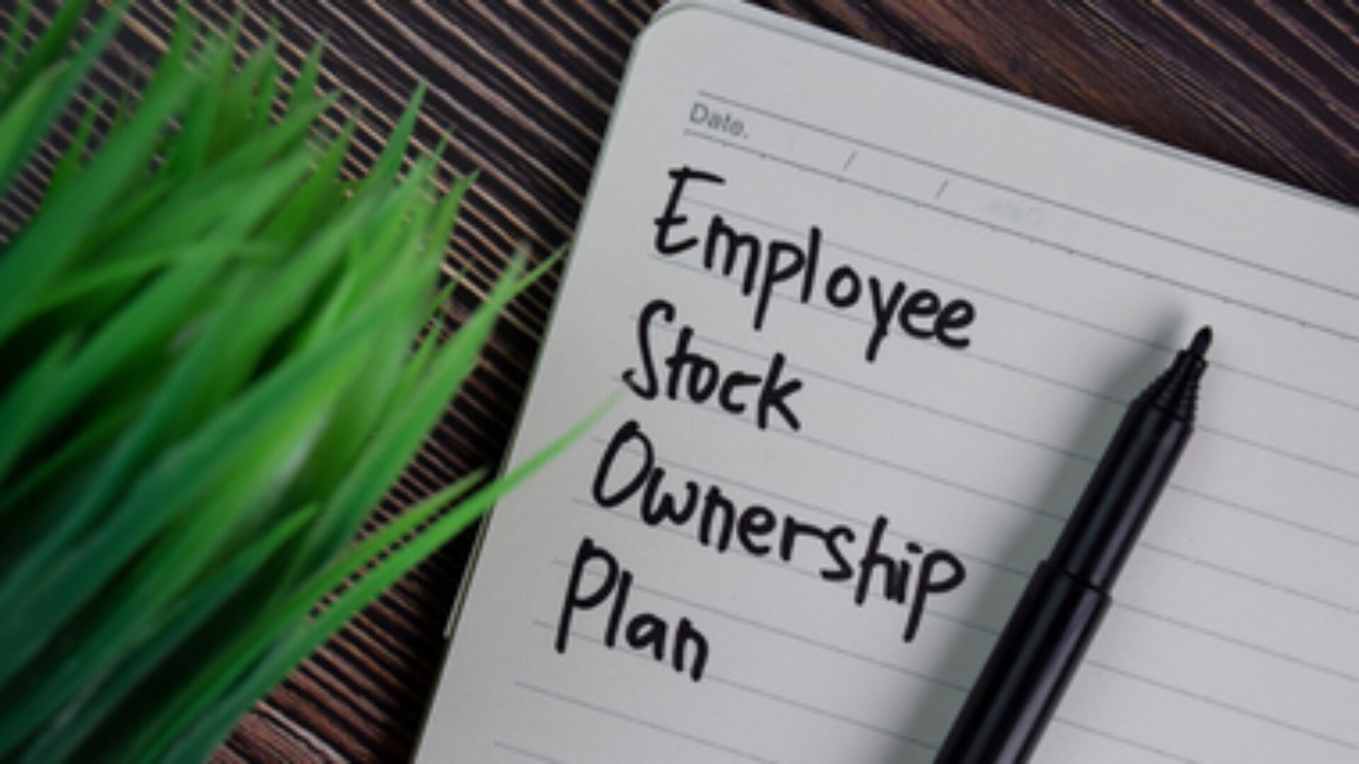 Employee Stock Ownership Plan write on a book isolated wooden table.
