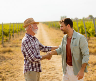 Heartfelt conversation between two generations in a sunlit vineyard during late afternoon harvest season